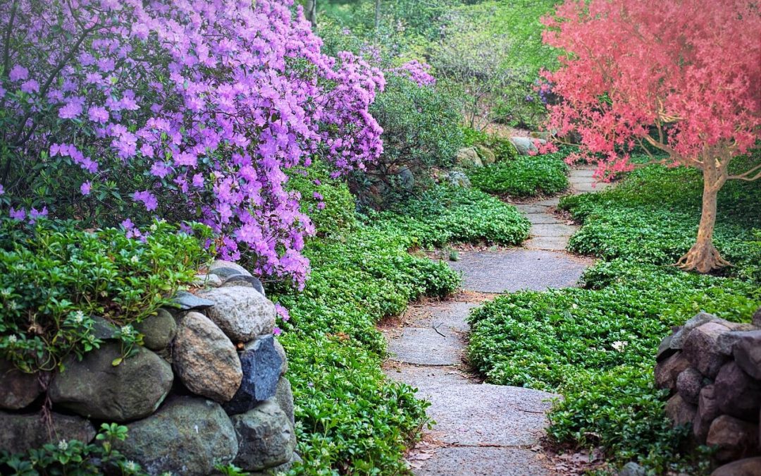 Transform Your Outdoor Space: 5 DIY Hardscaping Ideas for Homeowners