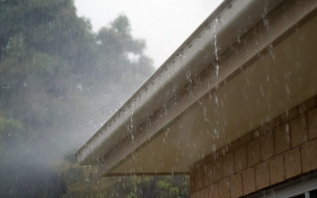 4 Tips for Cleaning the Gutters