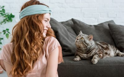 8 Effective Cleaning Tips for Pet Owners