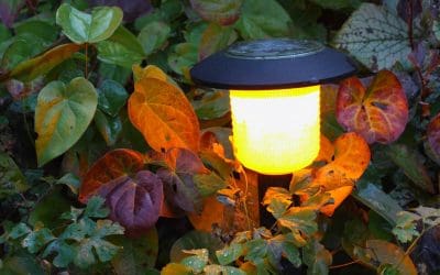 Improve Your Home’s Exterior Lighting