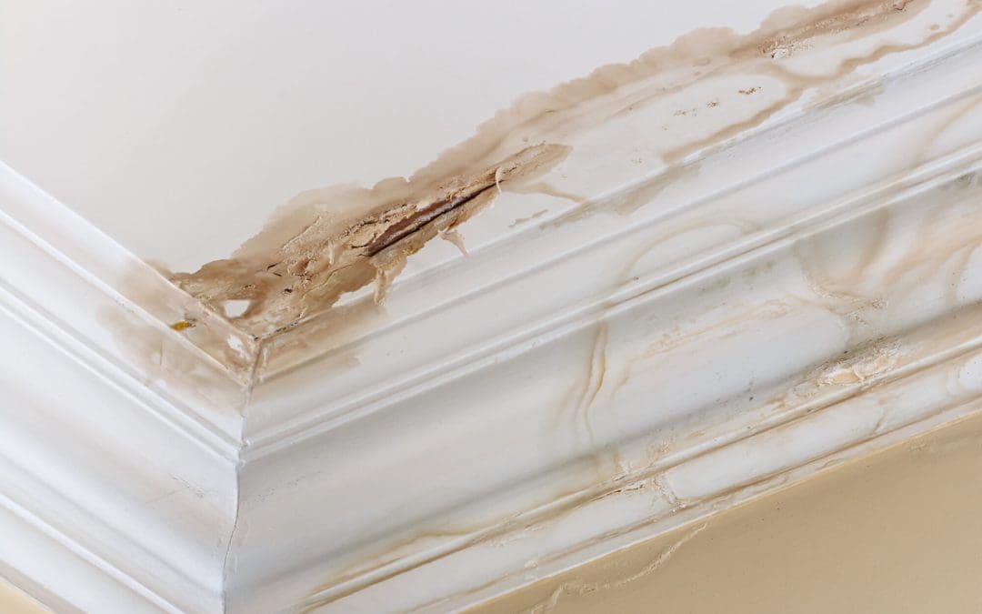 What Not to Skip: High-ROI Fixes for Sellers