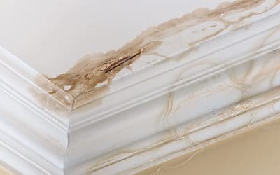 What Not to Skip: High-ROI Fixes for Sellers